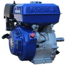 Powerful Gasoline Engine PW270