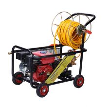 FST-22HT  garden machine, 6.5HP gasonline engine, 22H cast iron  power sprayer