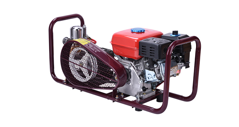 FST-D garden machine 6.5HP gasonline engine 22H cast iron pump power ...