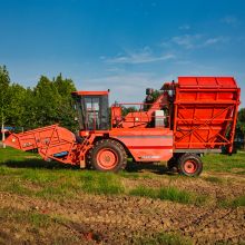ZHONGLIAN 2021 4JZ-3.2 Chilli Combine Harvester for sale
