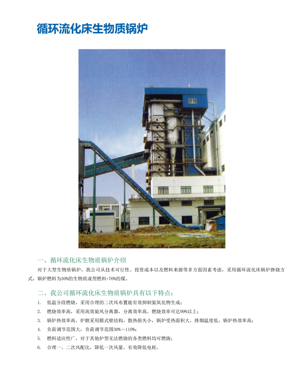 CFB Serial Biomass Boilers