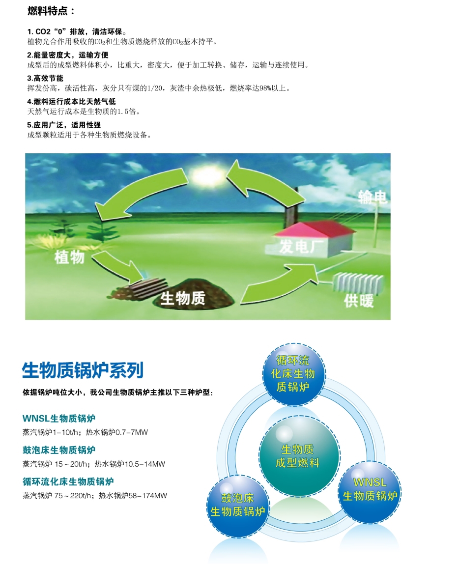 循环流化床生物质锅炉