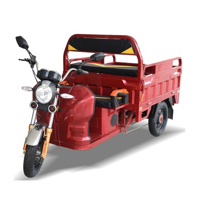 Electric tricycle with E-mark certificate for cargo