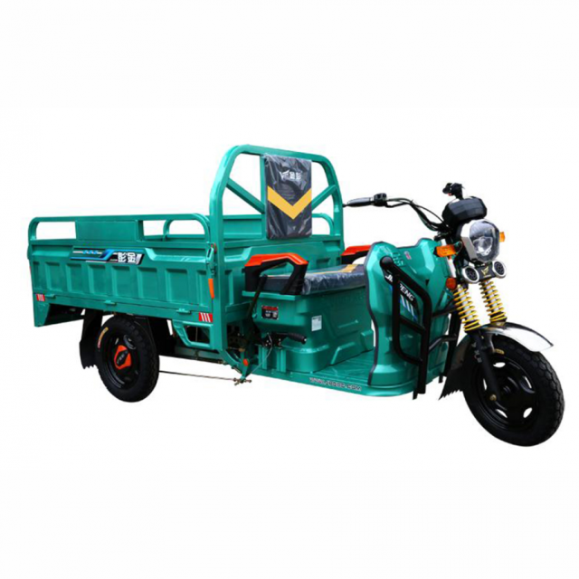 adult 3 wheels electric tricycle