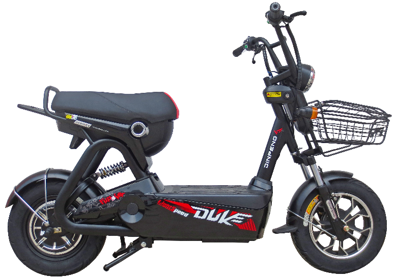 Hot sale 2 seat electric bike