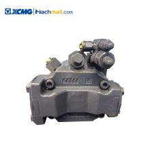 XCMG Two variable series pump L10VO45ED74/52R+L10VO45DRG/52R*803091632 price