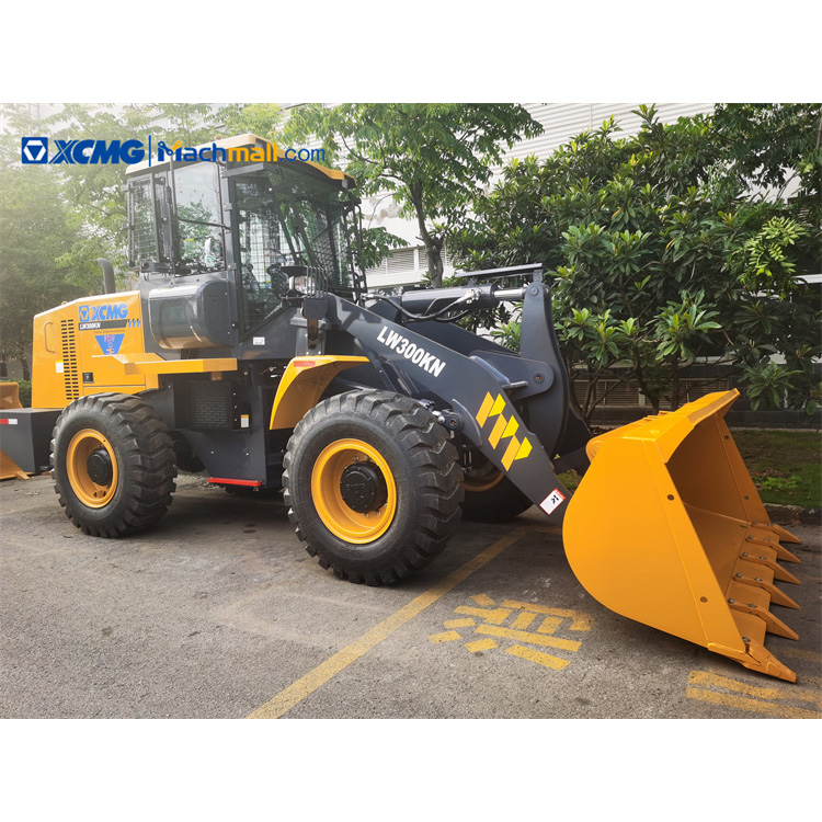 XCMG Manufacturer LW300KN 3 ton Front Loaders with Protective Cab Screen with good price