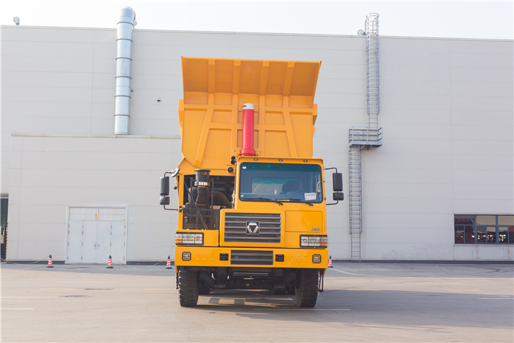 XCMG Official Chinese Dumper Tipper Truck NXG5550DT for Sale in Nigeria