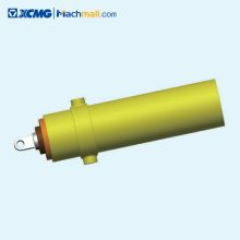 XGC85K.16.4 Hoisting Machinery Cylinder For XCMG Crawler Crane XGTC80/XGC85/XGC85E