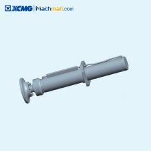 Suitable For XCMG Truck Mounted Concrete Pump HB50V/HB52V Concrete Machinery Cylinder