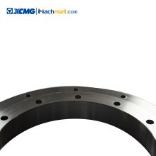 XCMG official Double volleyball style Toothless slewing bearing price