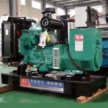 60kw diesel generator China Brand