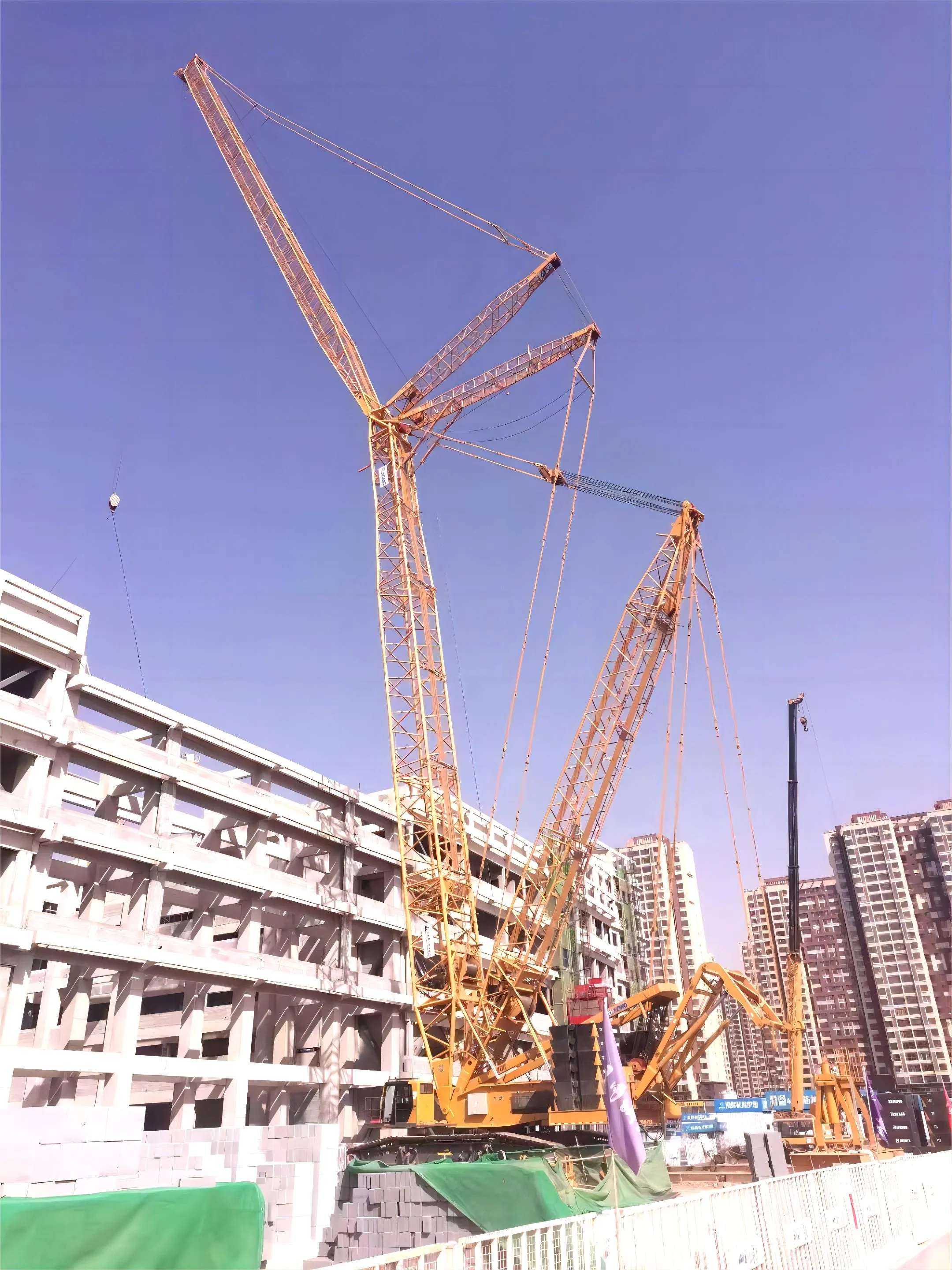 clamoon専用ページ Accelerator pedal ,parts code 1031700064, WL400244,