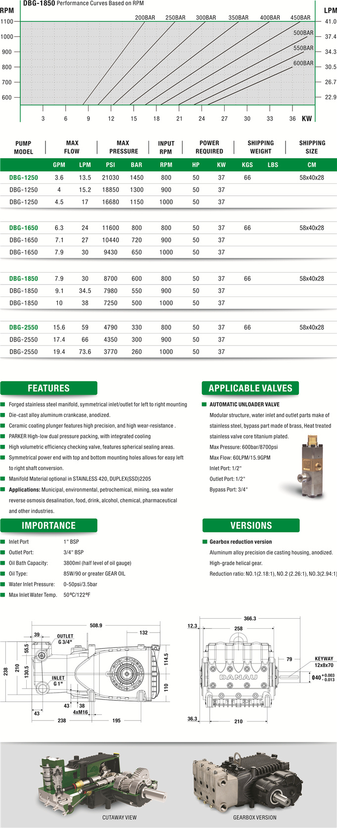 DBG Series Ultra-High Pressure Plunger Pump