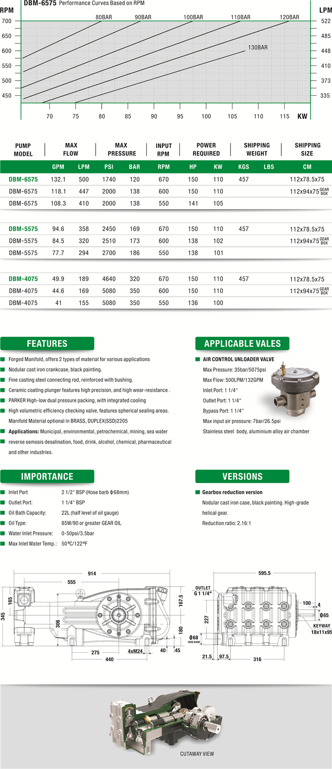 DBM Series Reciprocating High Pressure Plunger Pump