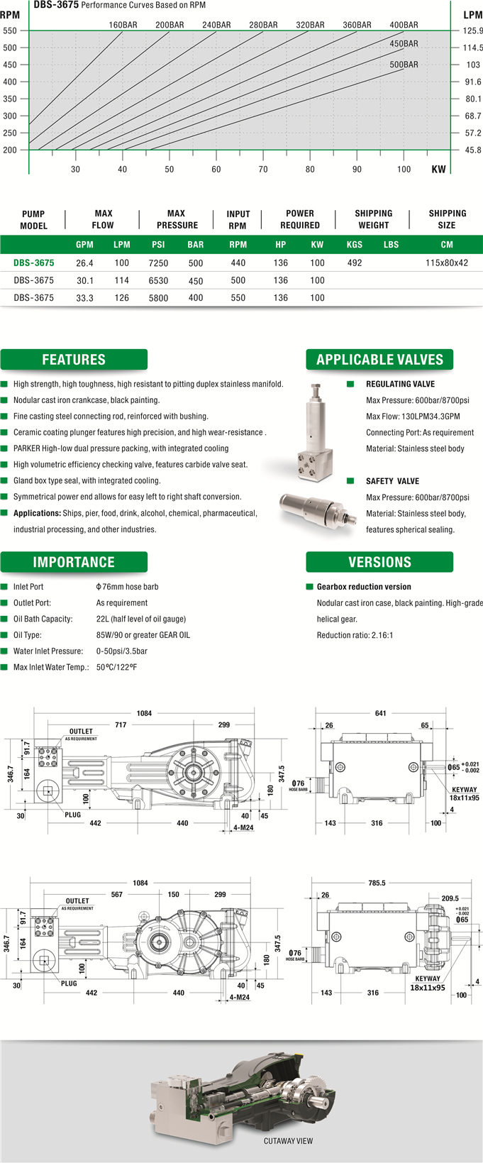 DBS ULTRA-HIGH Pressure Plunger Pump