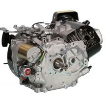Powerful Transplant Gasoline Engine PW200