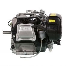 Powerful Transplant Gasoline Engine PW200