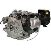 Powerful Transplant Gasoline Engine PW200