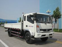 SHIFENG LIGHT TRUCK