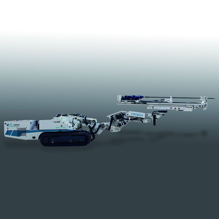 Multi-functional tunnel repair machine